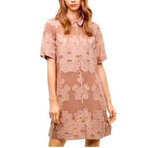 Aritiza | Wilfred* Hémistiche Semi Sheer Appliqué Dress